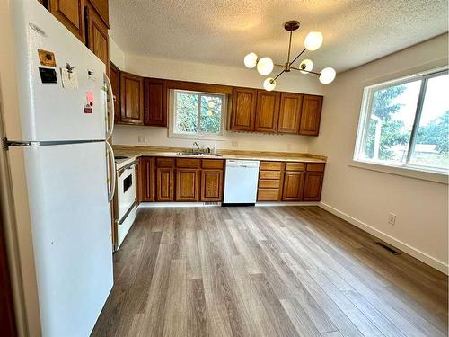 5147 55 Avenue, Edgerton, AB - Indoor Photo Showing Kitchen With Double Sink