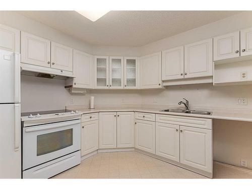 202-5120 48 Street, Lloydminster, AB - Indoor Photo Showing Kitchen With Double Sink