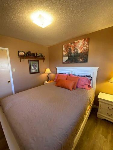 49425 Hwy 870, Innisfree, AB - Indoor Photo Showing Bedroom