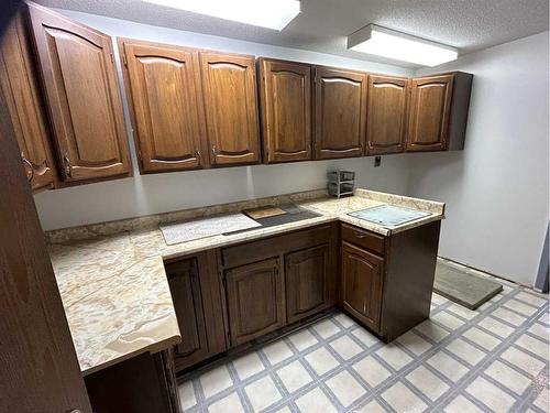 49425 Hwy 870, Innisfree, AB - Indoor Photo Showing Kitchen