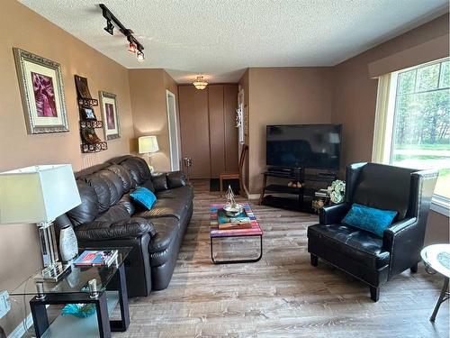 49425 Hwy 870, Innisfree, AB - Indoor Photo Showing Living Room