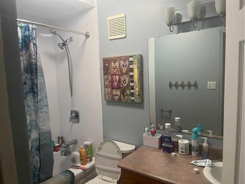 Ne 26-51-22W3 Ext 11 Rm Of Frenchman Butte No. 501, Turtleford, SK - Indoor Photo Showing Bathroom