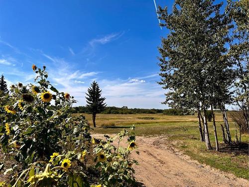 36 Selkirk Avenue, Hughenden, AB - Outdoor With View