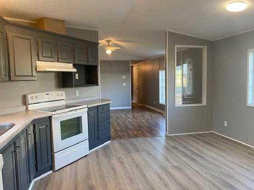 3923 51 Avenue, Provost, AB - Indoor Photo Showing Kitchen