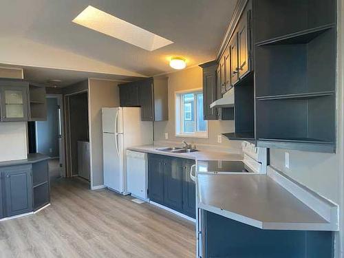 3923 51 Avenue, Provost, AB - Indoor Photo Showing Kitchen With Double Sink