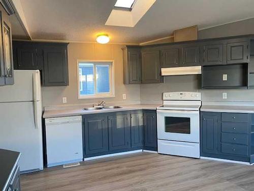 3923 51 Avenue, Provost, AB - Indoor Photo Showing Kitchen With Double Sink