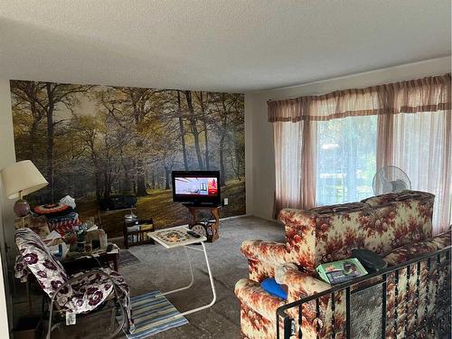 5741 45 Street, Lloydminster, AB - Indoor Photo Showing Living Room