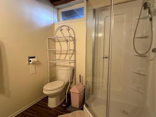 4815 43 Street, Vermilion, AB - Indoor Photo Showing Bathroom