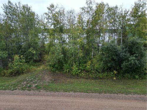 000 Rosemeadow Drive, Loon Lake, SK 