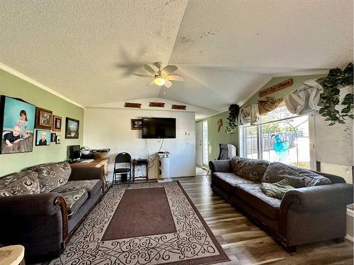 4931 52 Street, Consort, AB - Indoor Photo Showing Living Room