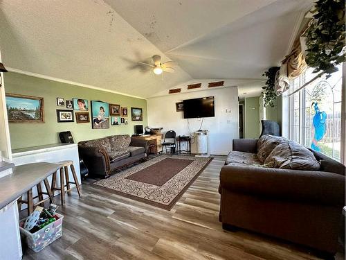 4931 52 Street, Consort, AB - Indoor Photo Showing Living Room