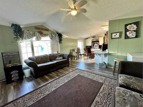 4931 52 Street, Consort, AB - Indoor Photo Showing Living Room