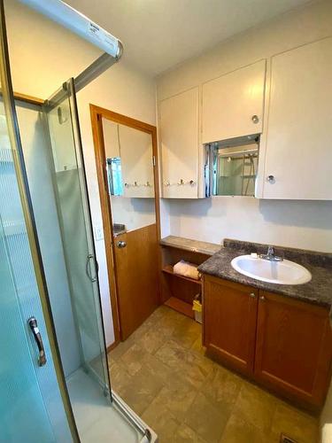 5206 2 Avenue North, Chauvin, AB - Indoor Photo Showing Bathroom