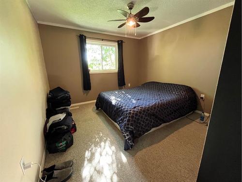 4823 52 Avenue, Irma, AB - Indoor Photo Showing Bedroom