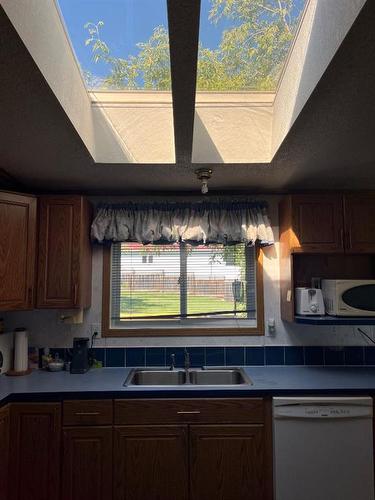 4823 52 Avenue, Irma, AB - Indoor Photo Showing Kitchen With Double Sink