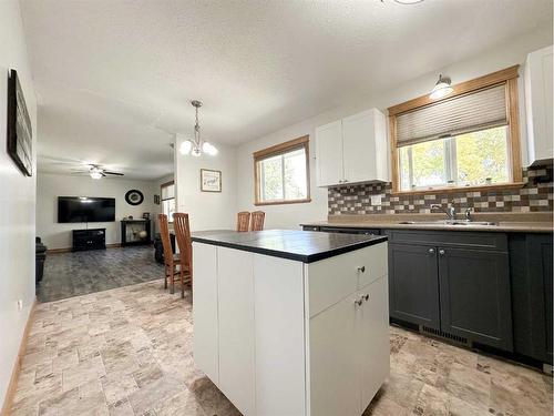 5116 49 Street, Provost, AB - Indoor Photo Showing Kitchen With Double Sink