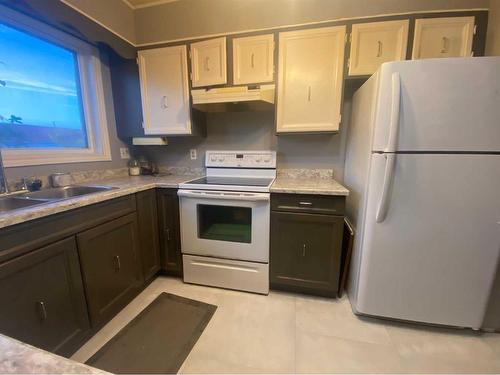 1113 14 Street, Wainwright, AB - Indoor Photo Showing Kitchen With Double Sink