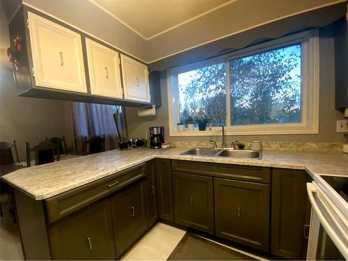 1113 14 Street, Wainwright, AB - Indoor Photo Showing Kitchen With Double Sink