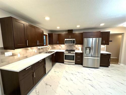 4821 48 Street, Hardisty, AB - Indoor Photo Showing Kitchen With Stainless Steel Kitchen With Double Sink