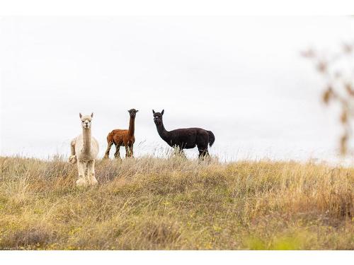 52404 Rge Rd 3262, Rural, SK - Outdoor With View