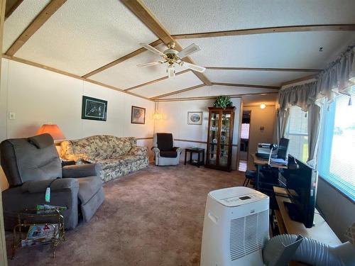 4812 50 Avenue, Mclaughlin, AB - Indoor Photo Showing Living Room