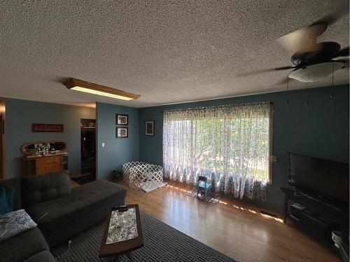 4803 47 Street, Hardisty, AB - Indoor Photo Showing Living Room