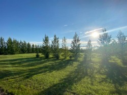 L4 B2 NE 01-45-07 W4  Rural Wainwright No. 61, M.D. Of, AB T9W 1S9