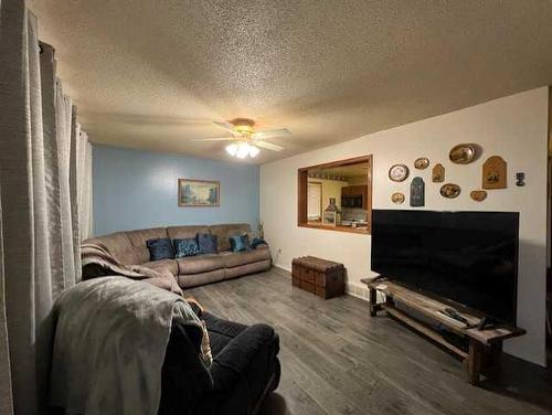 5132 51 Avenue, Irma, AB - Indoor Photo Showing Living Room