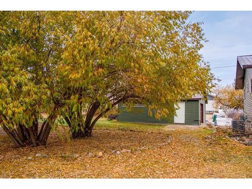 4604 49 Avenue, Czar, AB - Outdoor