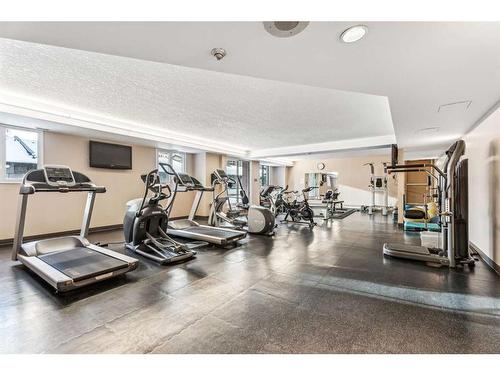 315-738 3 Avenue Sw, Calgary, AB - Indoor Photo Showing Gym Room