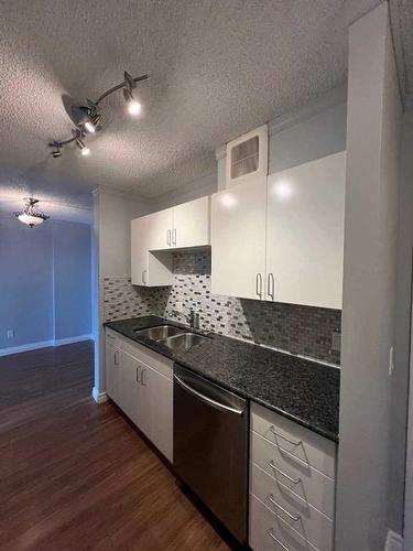 315-738 3 Avenue Sw, Calgary, AB - Indoor Photo Showing Kitchen With Double Sink