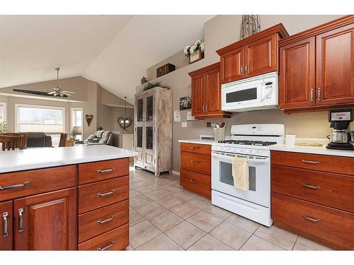 4815 54 Avenue, Kitscoty, AB - Indoor Photo Showing Kitchen