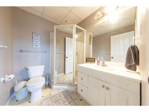 #17 Silver Willow Estates, Rural Vermilion River, County Of, AB - Indoor Photo Showing Bathroom