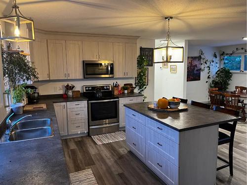 465051 Rng Rd 53, Rural Wainwright No. 61, M.D. Of, AB - Indoor Photo Showing Kitchen With Double Sink