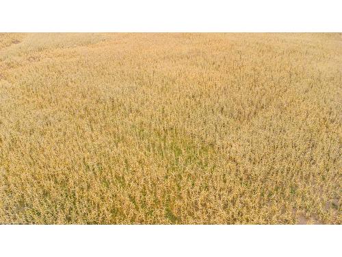 Lot 1 Block 2 Se 24-49-2-4, Rural Vermilion River, County Of, AB 