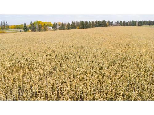 Lot 1 Block 2 Se 24-49-2-4, Rural Vermilion River, County Of, AB 