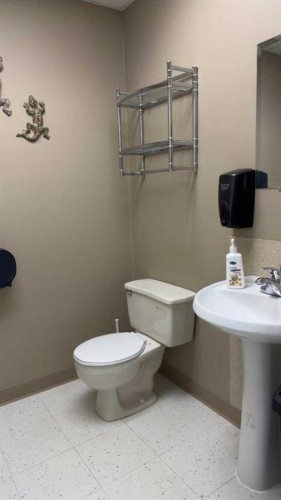 4905 50 Avenue, Consort, AB 