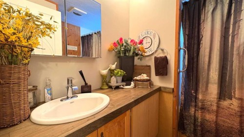 44 Clear Lake, Rural Wainwright No. 61, M.D. Of, AB - Indoor Photo Showing Bathroom