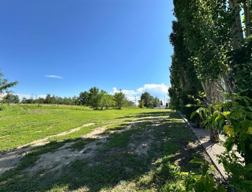 1129 17 Street, Wainwright, AB 