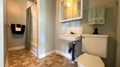 1206 6 Avenue, Wainwright, AB - Indoor Photo Showing Bathroom