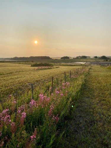 34062 Hwy 13, Provost, AB - Outdoor With View