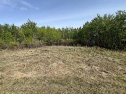 Grandview Estates  Rural Vermilion River, County Of, AB T9X 1R6