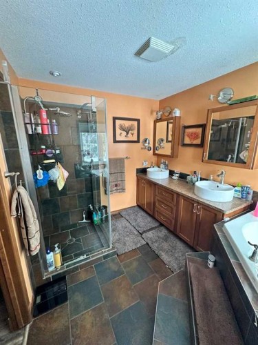 47326 Rr 130 Pt Ne 24-47-13-W4, Rural Beaver County, AB - Indoor Photo Showing Bathroom