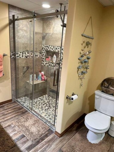 47326 Rr 130 Pt Ne 24-47-13-W4, Rural Beaver County, AB - Indoor Photo Showing Bathroom