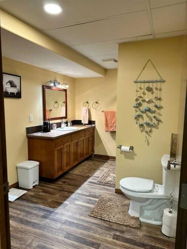 47326 Rr 130 Pt Ne 24-47-13-W4, Rural Beaver County, AB - Indoor Photo Showing Bathroom