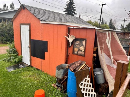 5047 48 Street, Mannville, AB - Outdoor