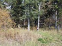 Lot 7 Willow Bay, Brightsand Lake, SK 