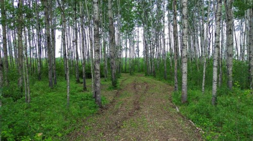 26 Prosser Drive, Branch Lake, SK 