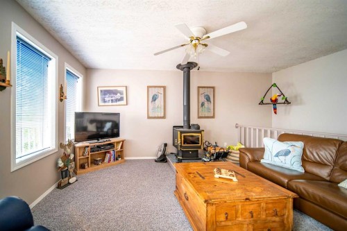 98-441005 Rge Rd 98, Rural Wainwright No. 61, M.D. Of, AB - Indoor Photo Showing Living Room With Fireplace
