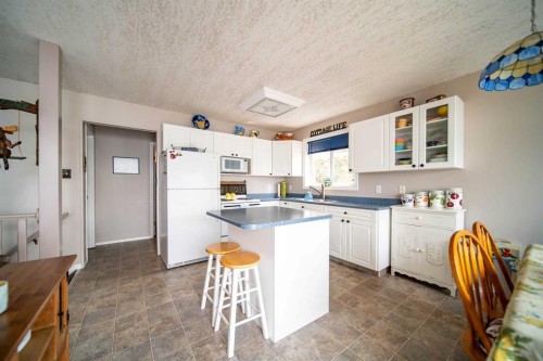 98-441005 Rge Rd 98, Rural Wainwright No. 61, M.D. Of, AB - Indoor Photo Showing Kitchen
